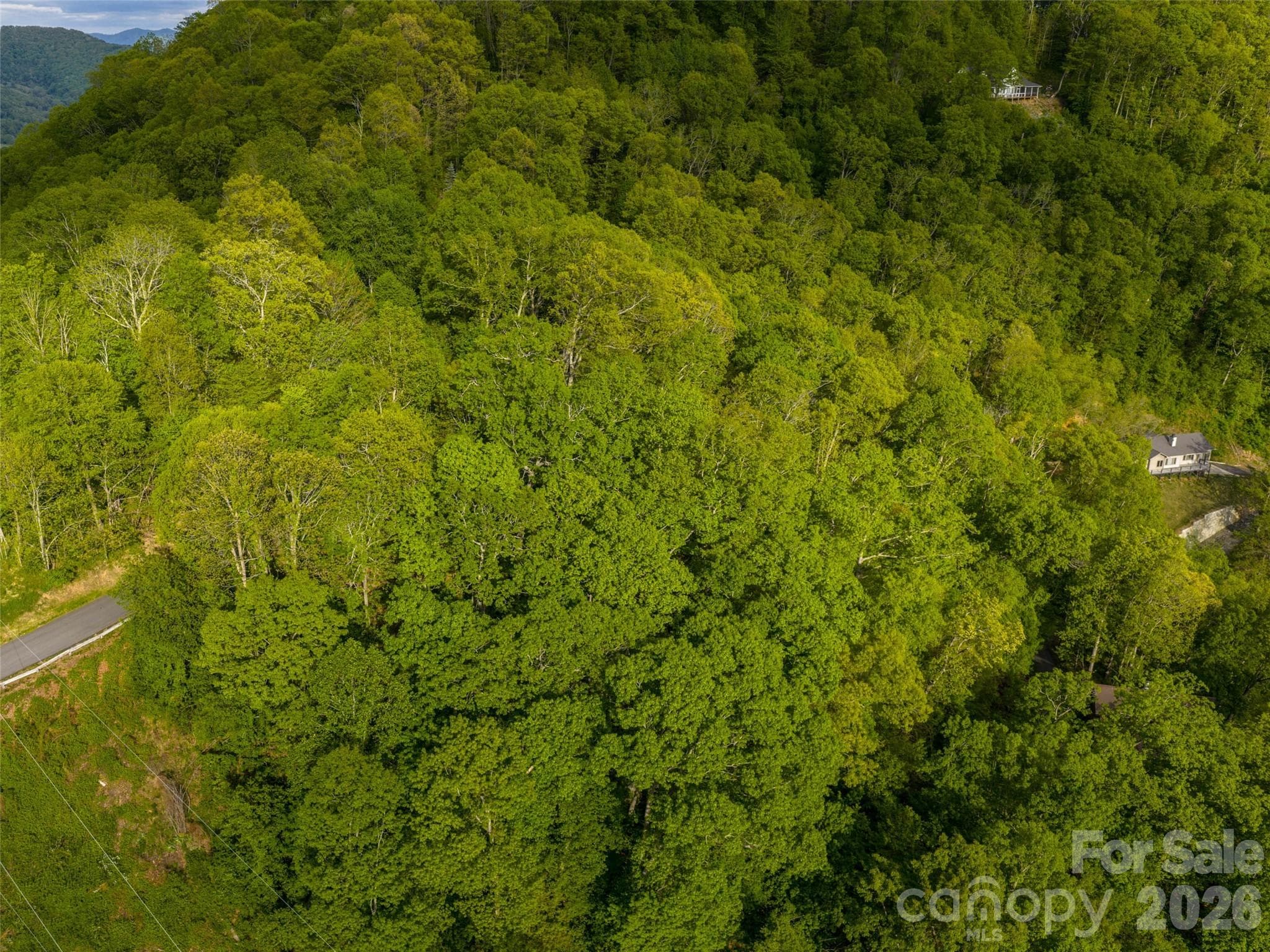Lot at Waynesville, photo 14 of 14