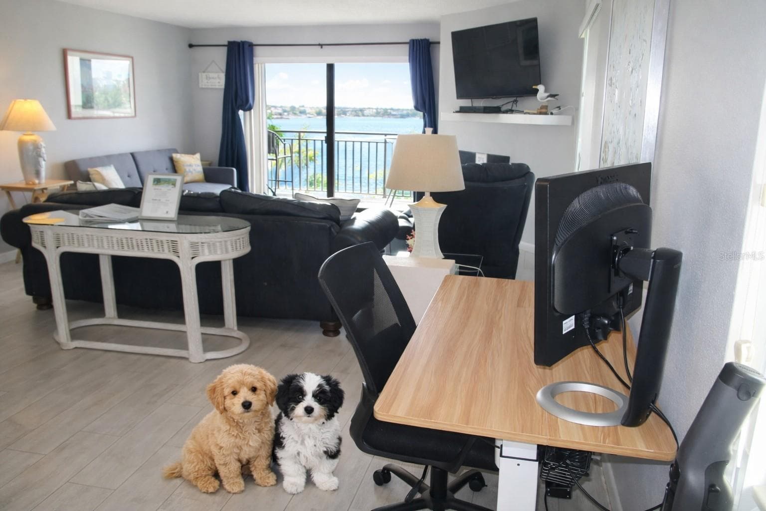 2 Small pets allowed - 9825 HARRELL AVE #404, TREASURE ISLAND