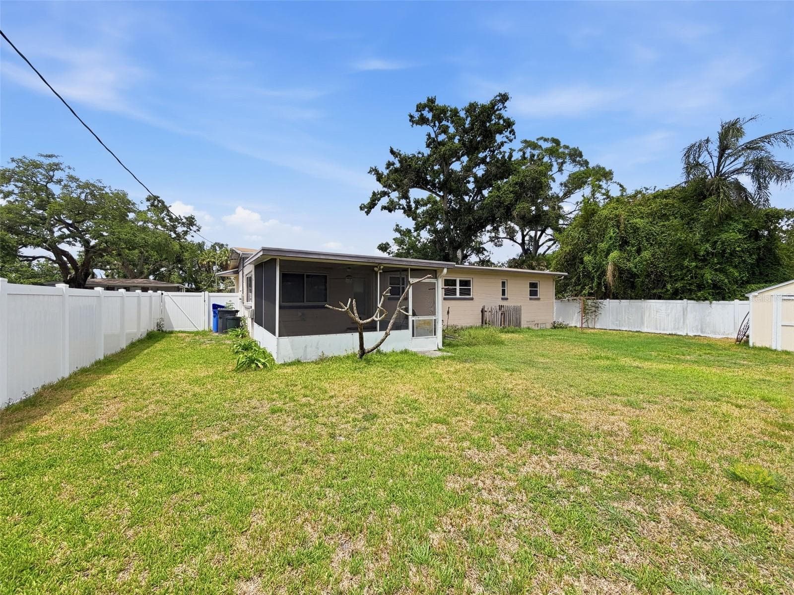 Backyard - 2518 W NORTH ST, TAMPA