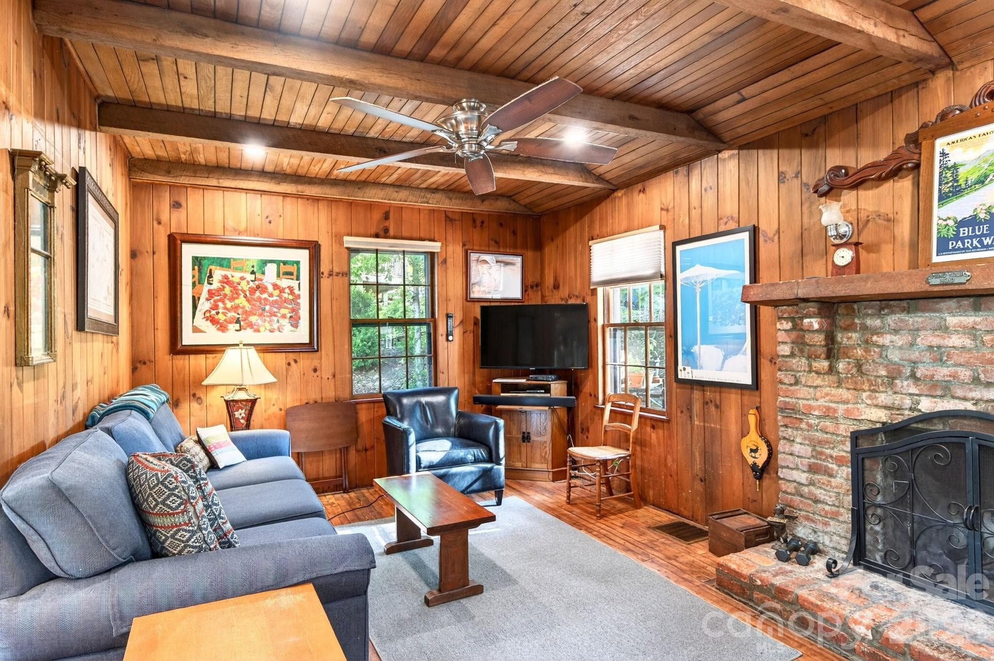Cozy living room filled with rustic charm - Asheville