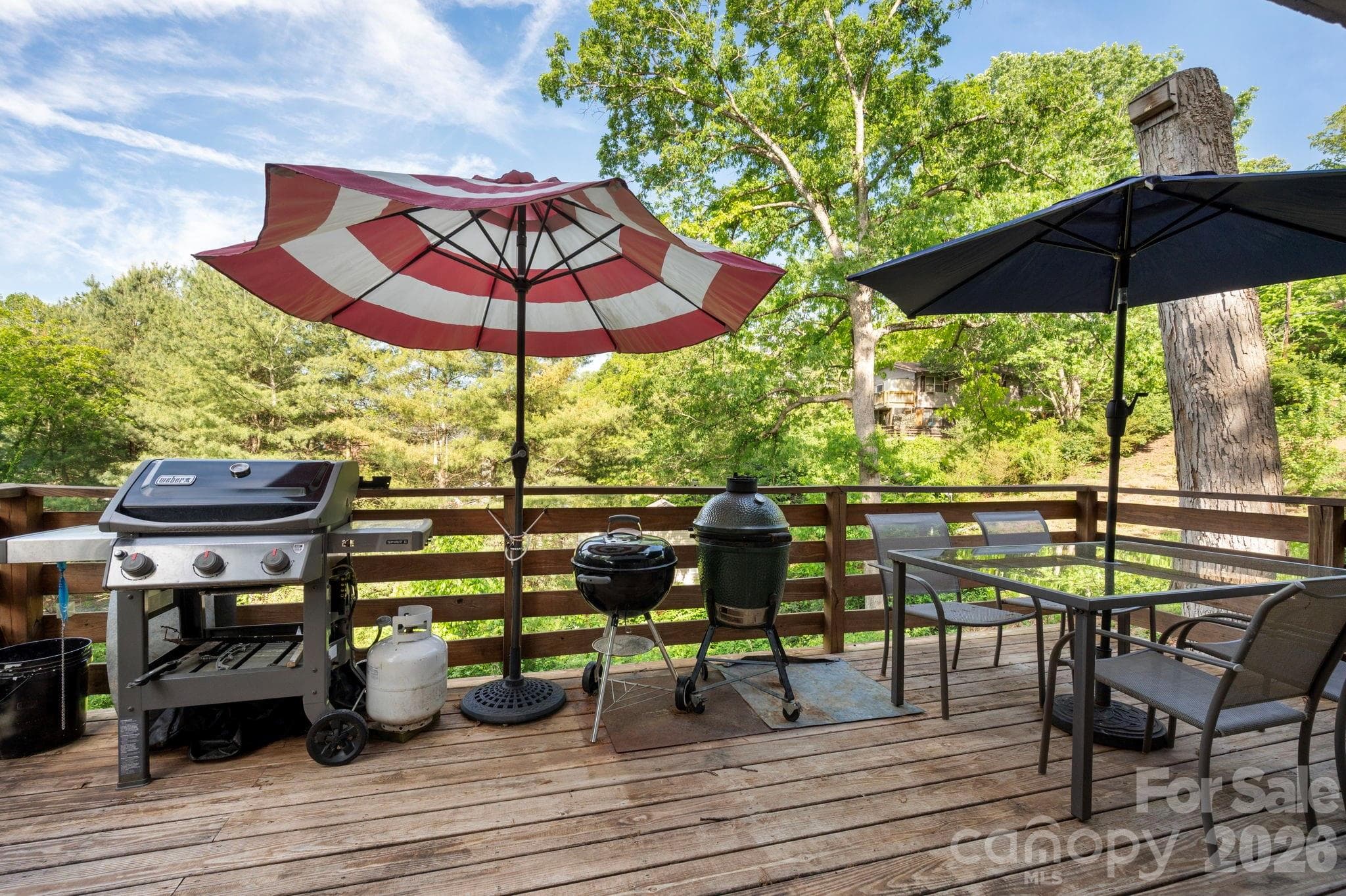 Rear deck ready for a party - 126 Maney Avenue, Asheville