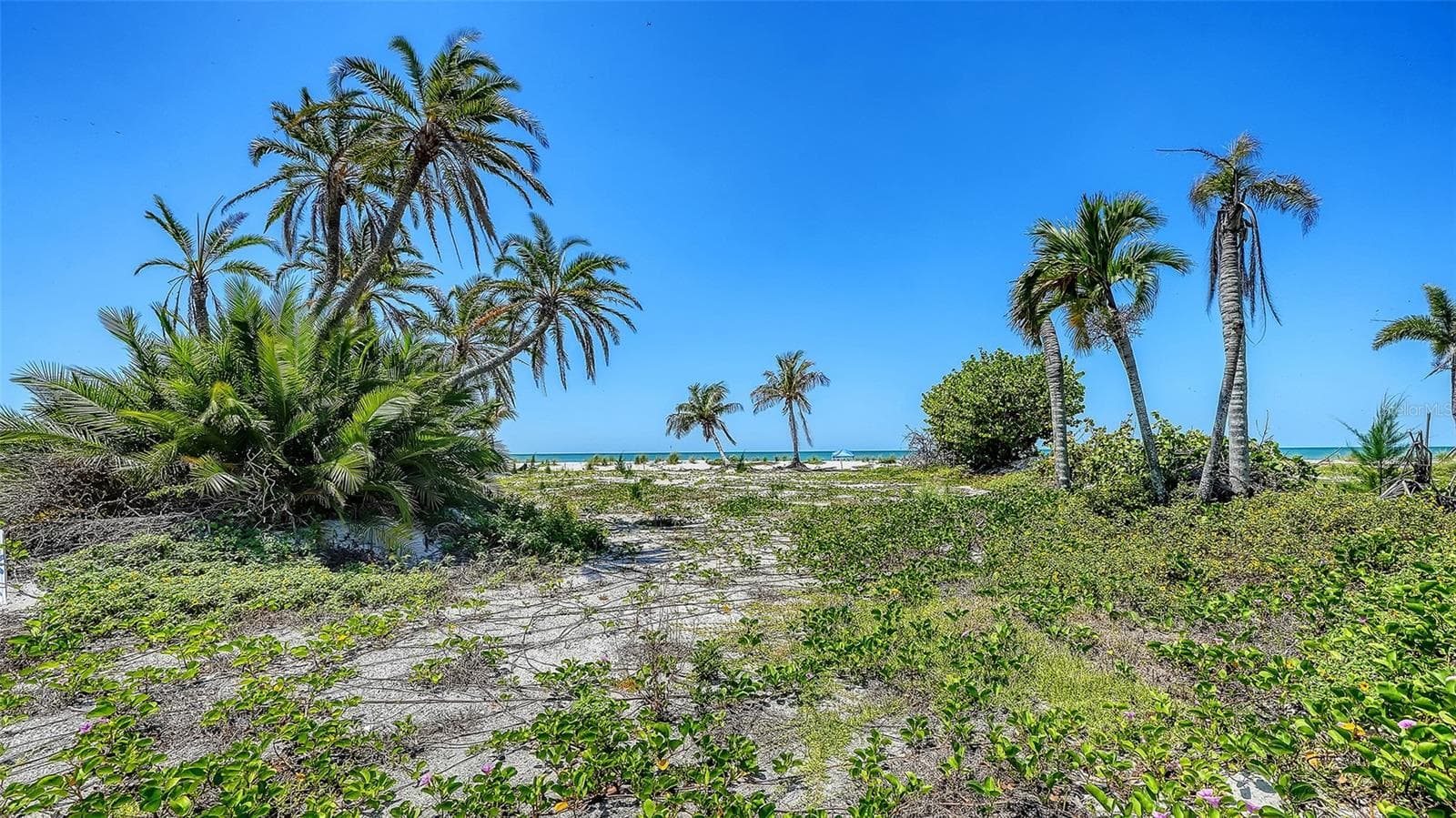 Land at 6441 GULFSIDE RD, LONGBOAT KEY, photo 6 of 17