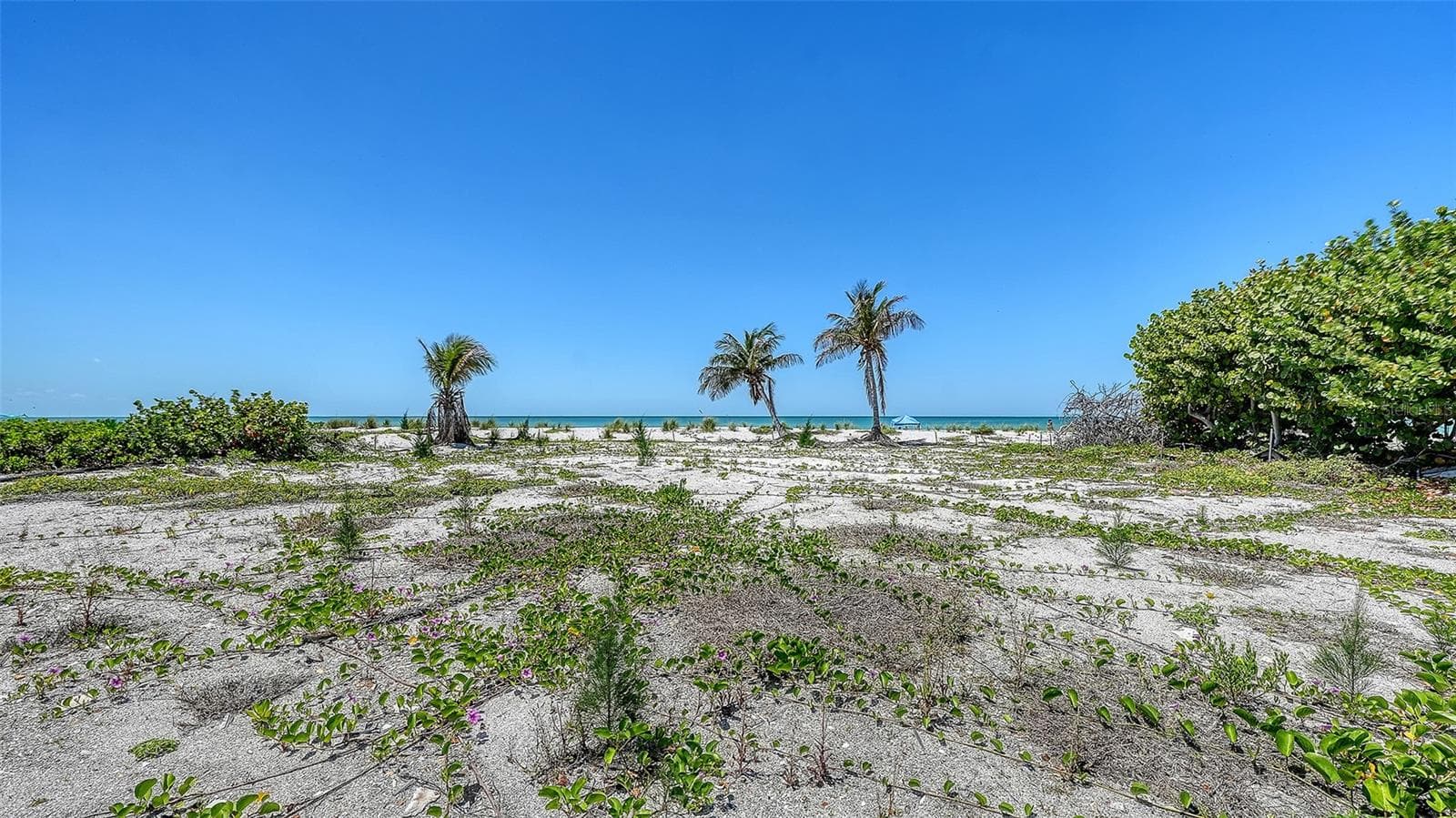 Land at 6441 GULFSIDE RD, LONGBOAT KEY, photo 8 of 17