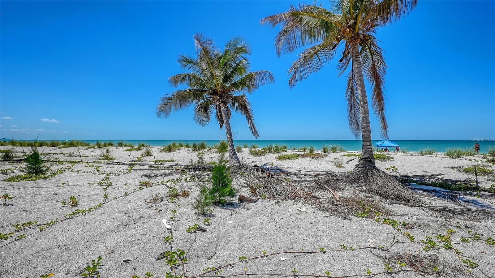 Land at 6441 GULFSIDE RD, LONGBOAT KEY, photo 9 of 17
