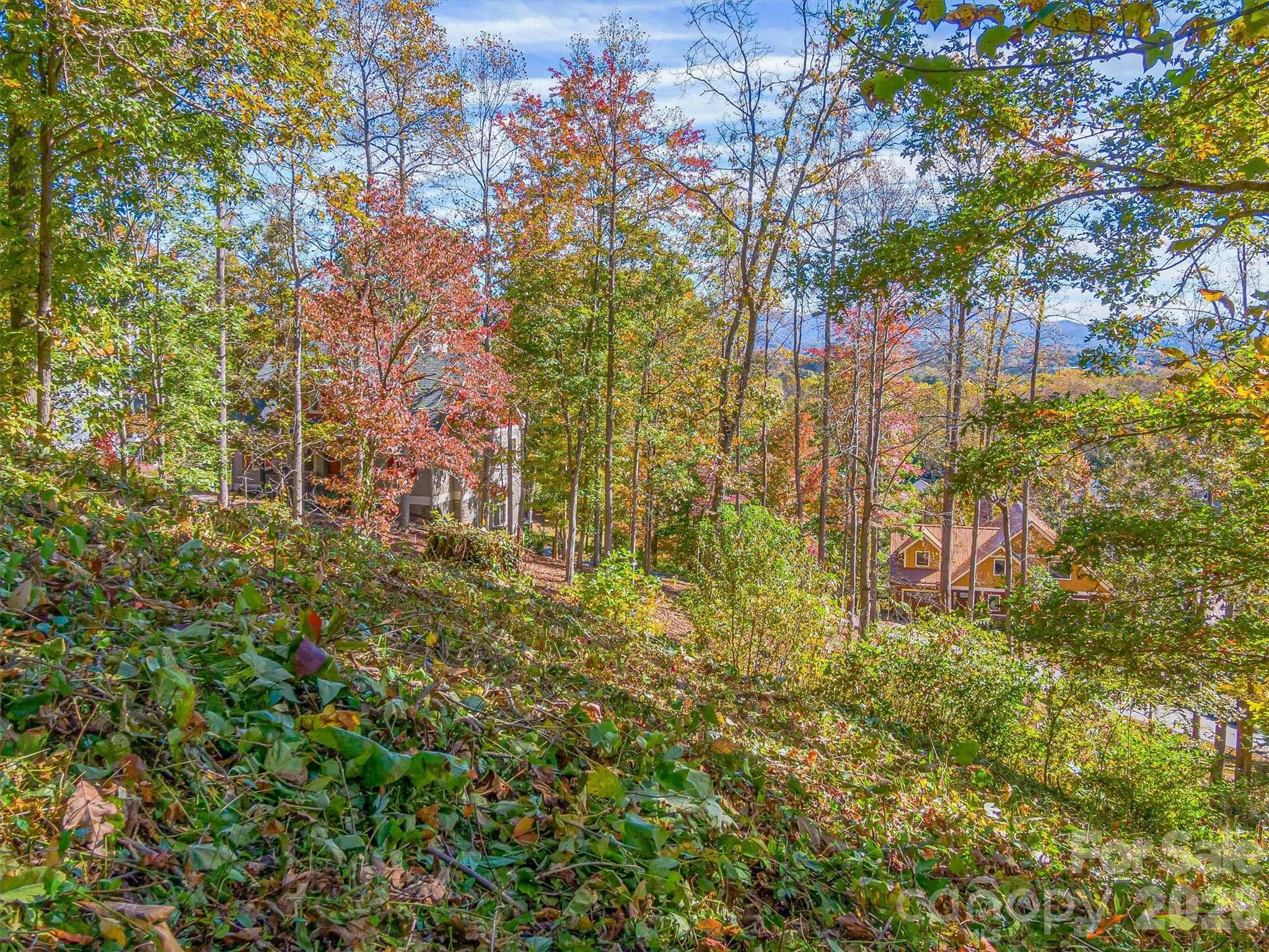 City water and sewer, paved and maintained roads, underground utilities including fiber optic internet and hiking trails are a few of the valuable features of this exclusive community. - Asheville