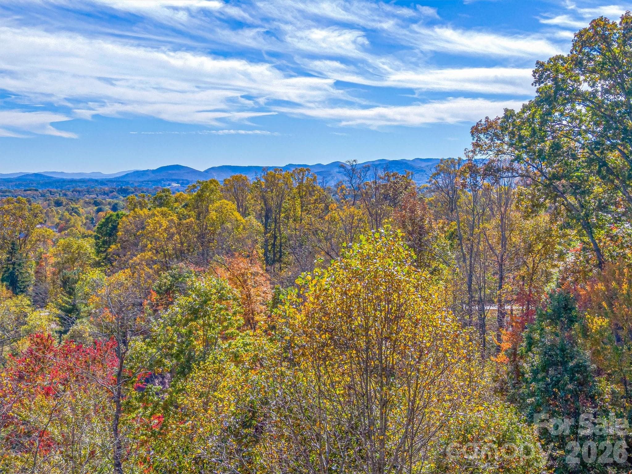 0.36 acres - Asheville