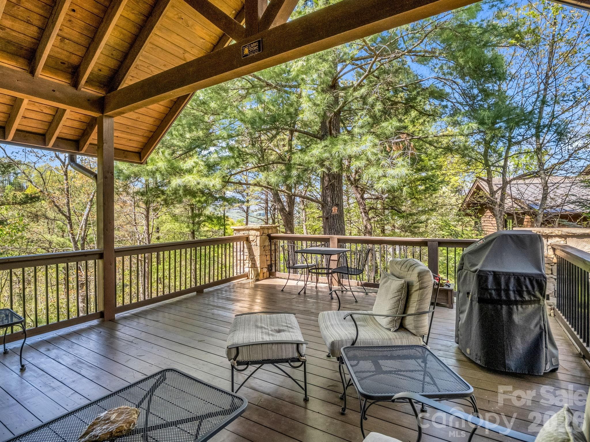 Single Family Residence at 16 Panther Gap Road, Black Mountain, photo 19 of 48