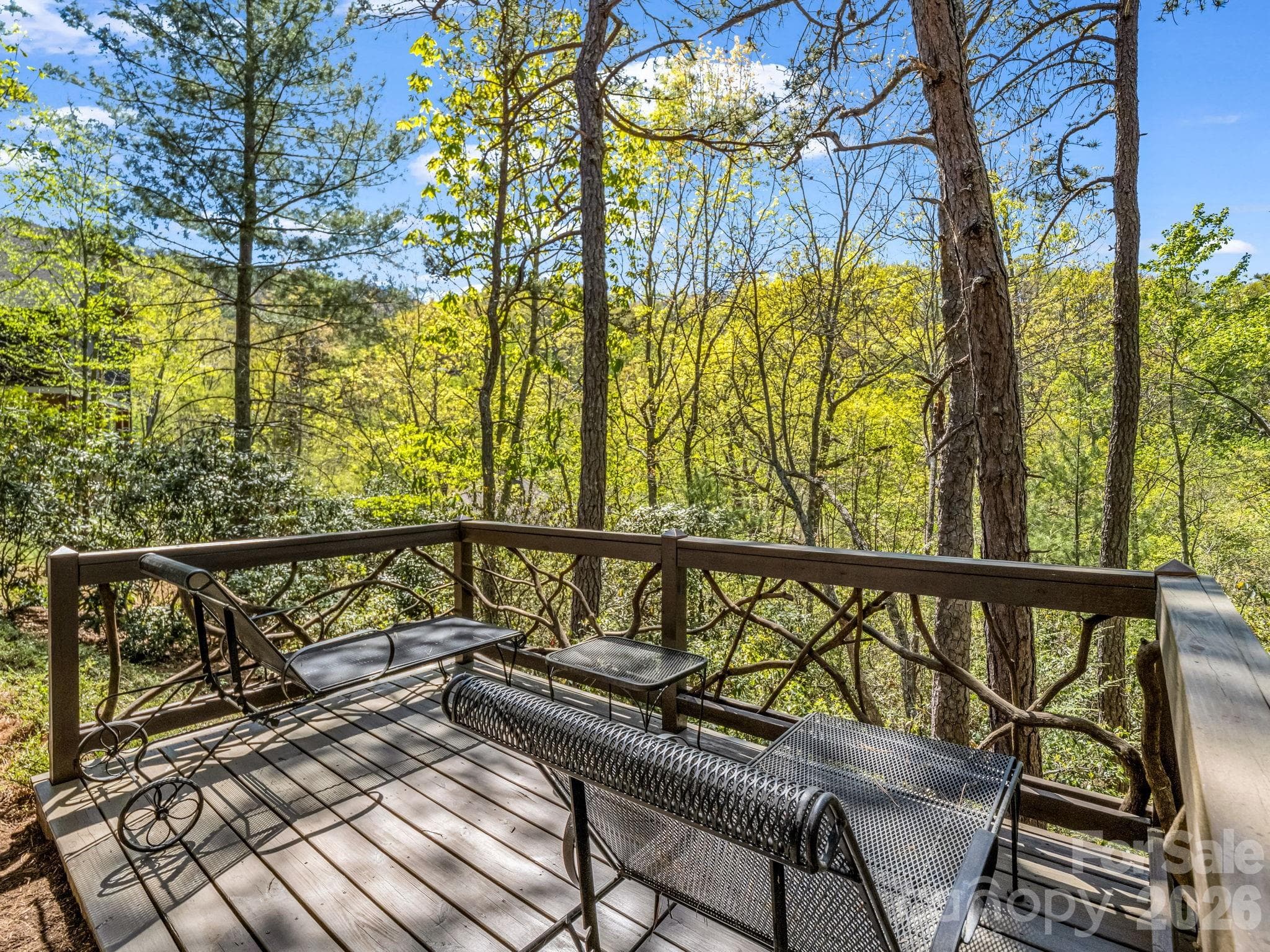 Single Family Residence at 16 Panther Gap Road, Black Mountain, photo 42 of 48