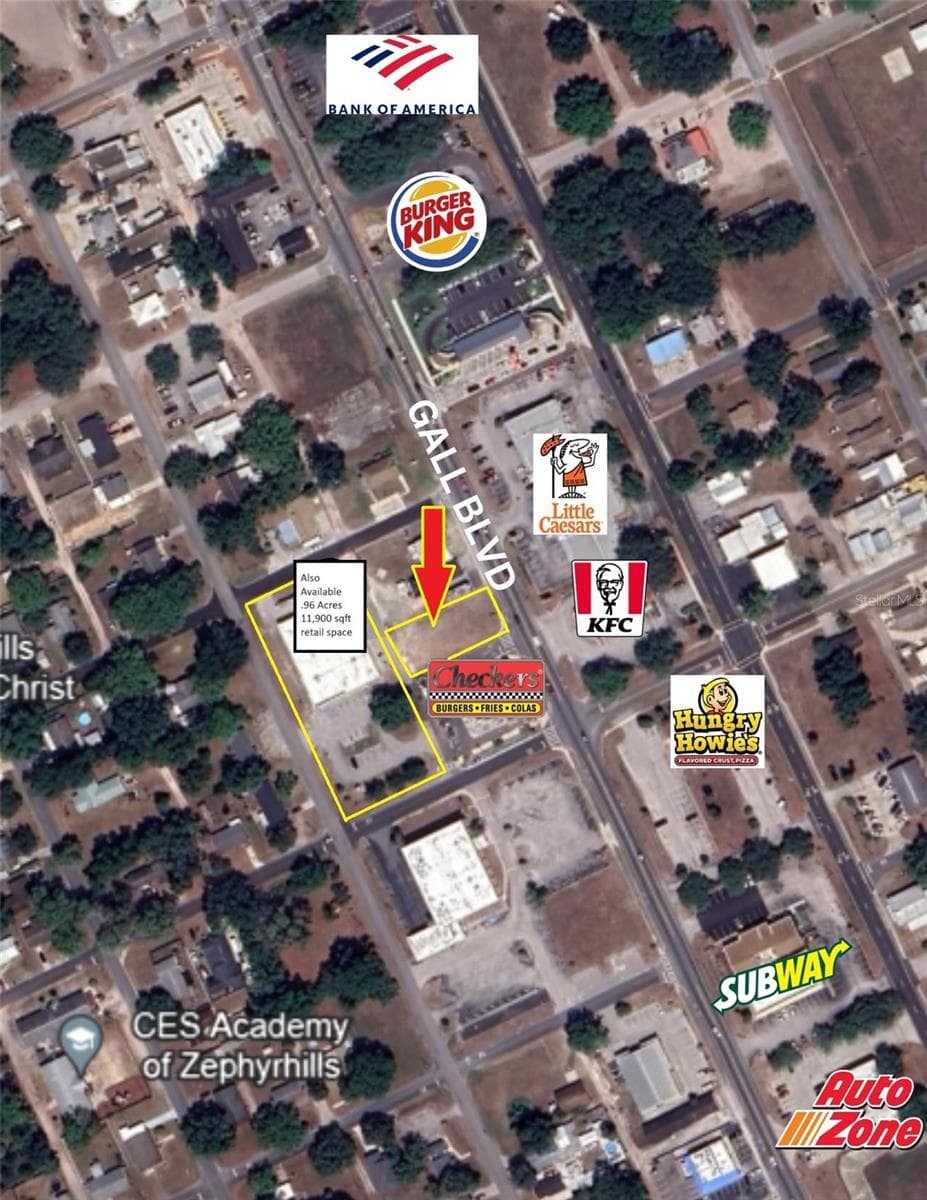 Land at 0 GALL BLVD, ZEPHYRHILLS, photo 8 of 8