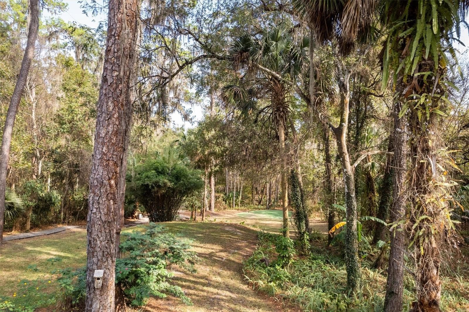 The "19th Hole" - 22675 NW 75TH AVENUE RD, MICANOPY