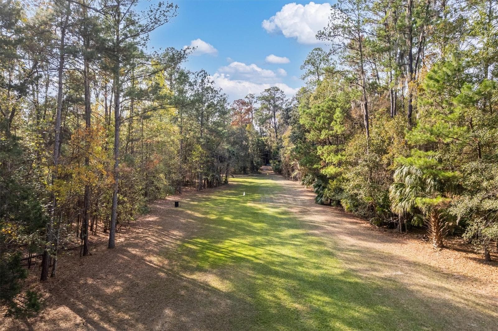 Single Family Residence at 22675 NW 75TH AVENUE RD, MICANOPY, photo 55 of 72