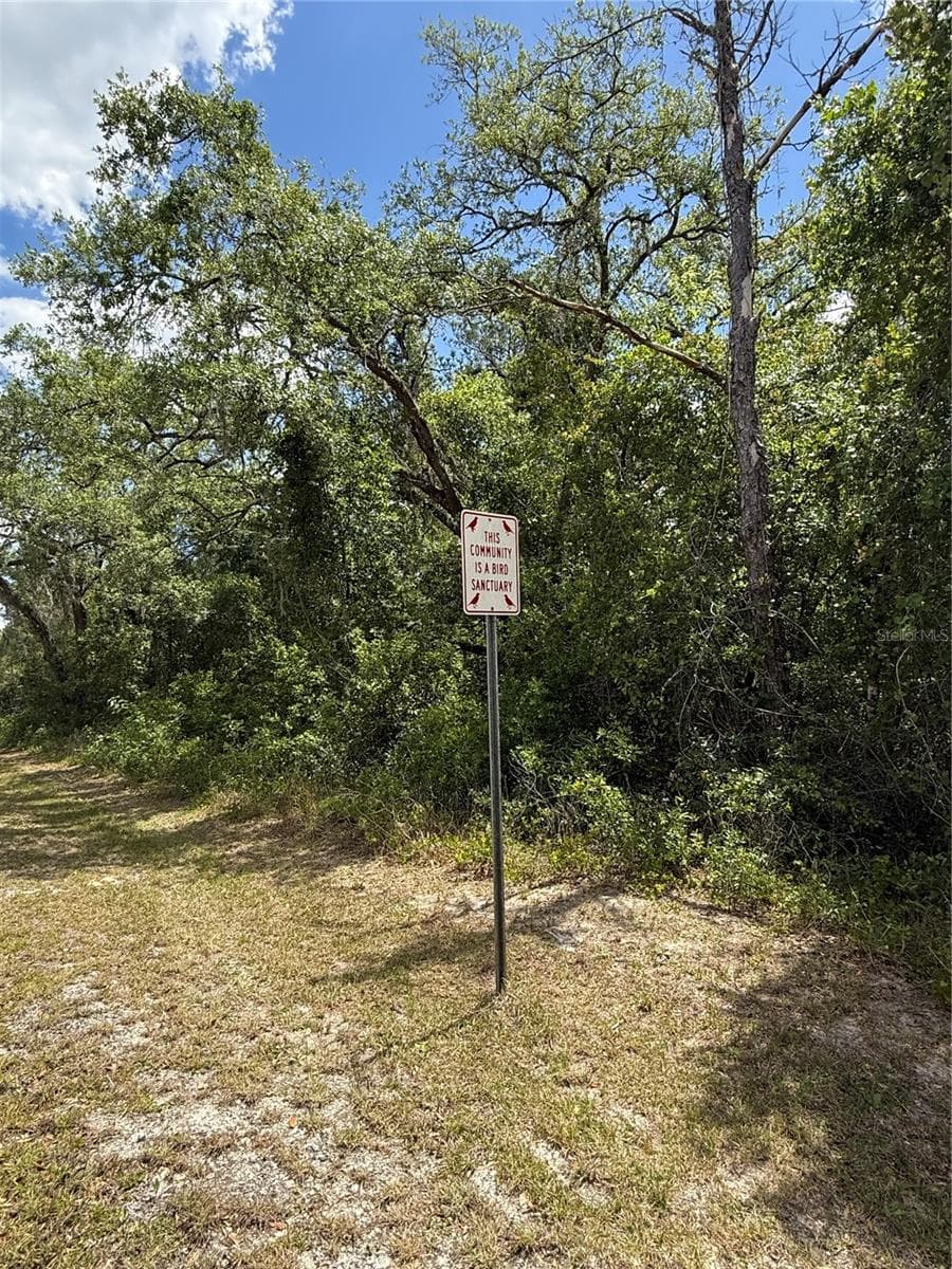 Land at LEWIS LN, WEBSTER, photo 7 of 13