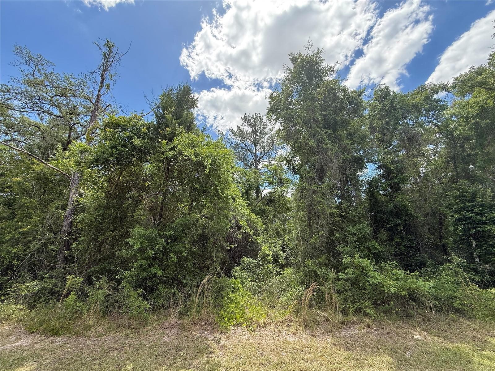 Land at LEWIS LN, WEBSTER, photo 12 of 13