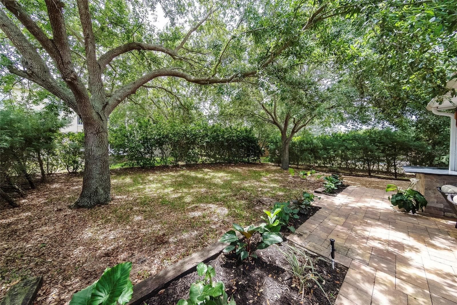 Backyard - matured trees - 1397 LATTIMORE DR, CLERMONT