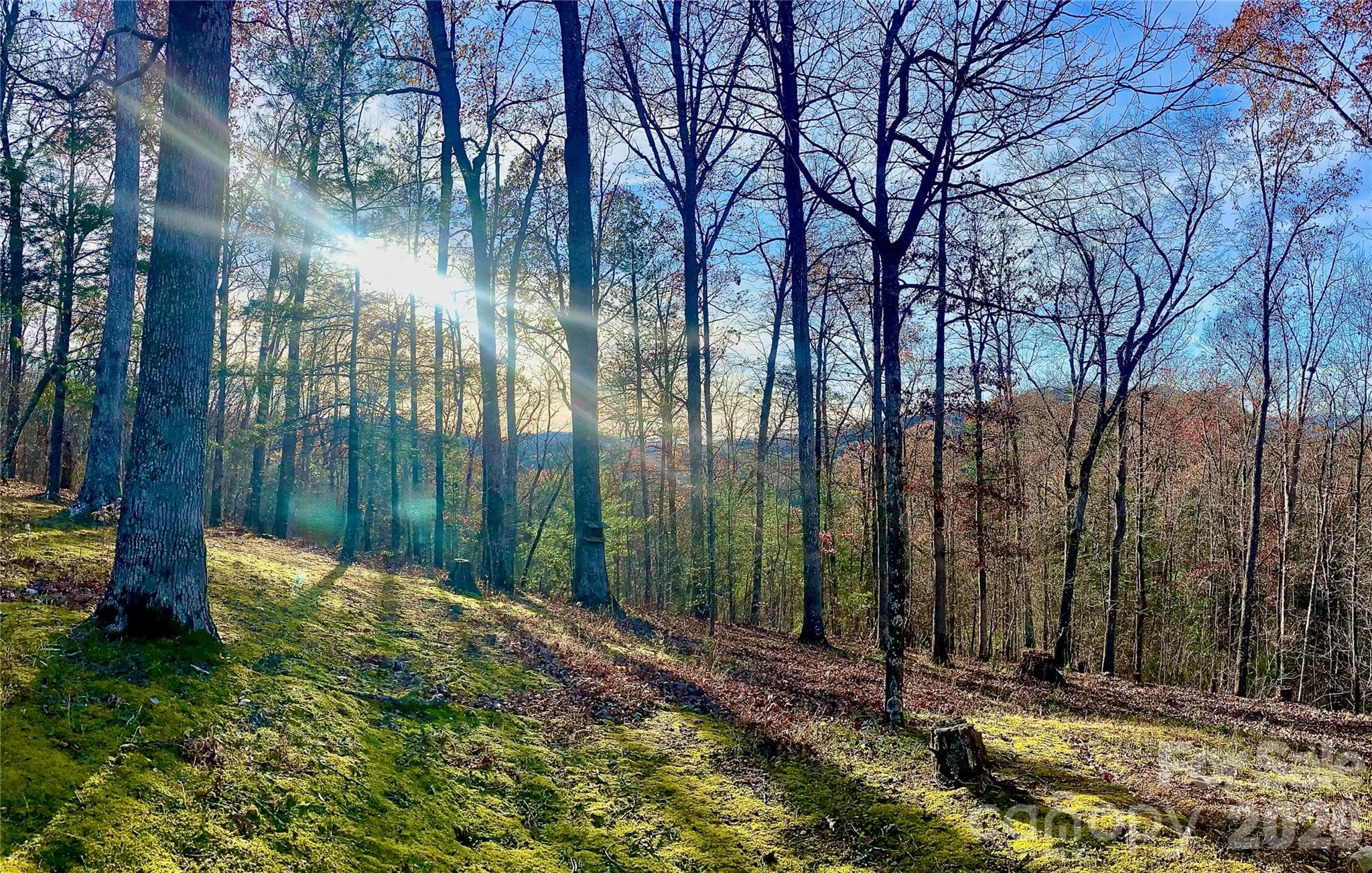 A Magical Place to Call Home - 288 Rebel Drive, Hot Springs