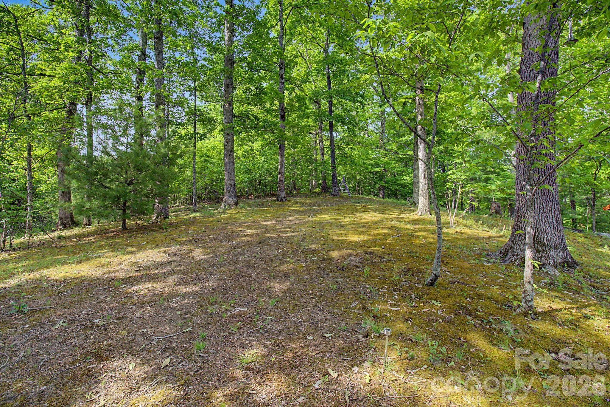 Level Land with Open Use - 288 Rebel Drive, Hot Springs