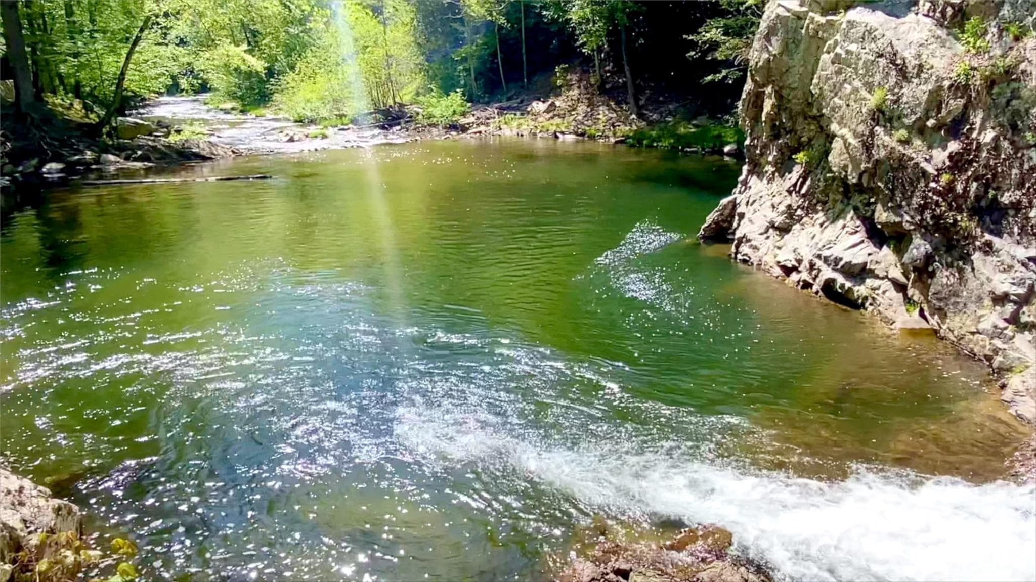 Perfect Days Spent Outside - 288 Rebel Drive, Hot Springs