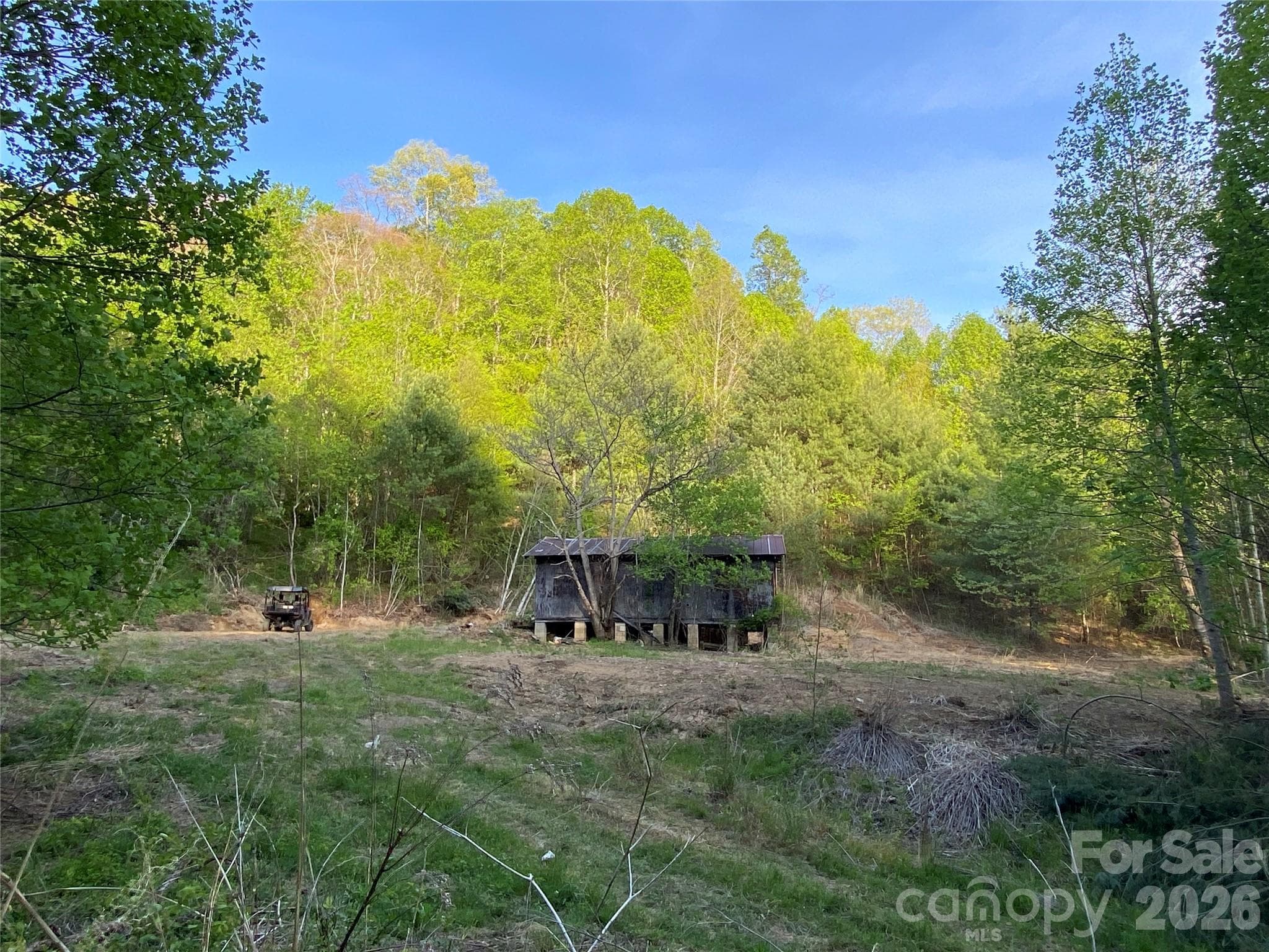 Unimproved Commercial at Mars Hill, photo 14 of 15