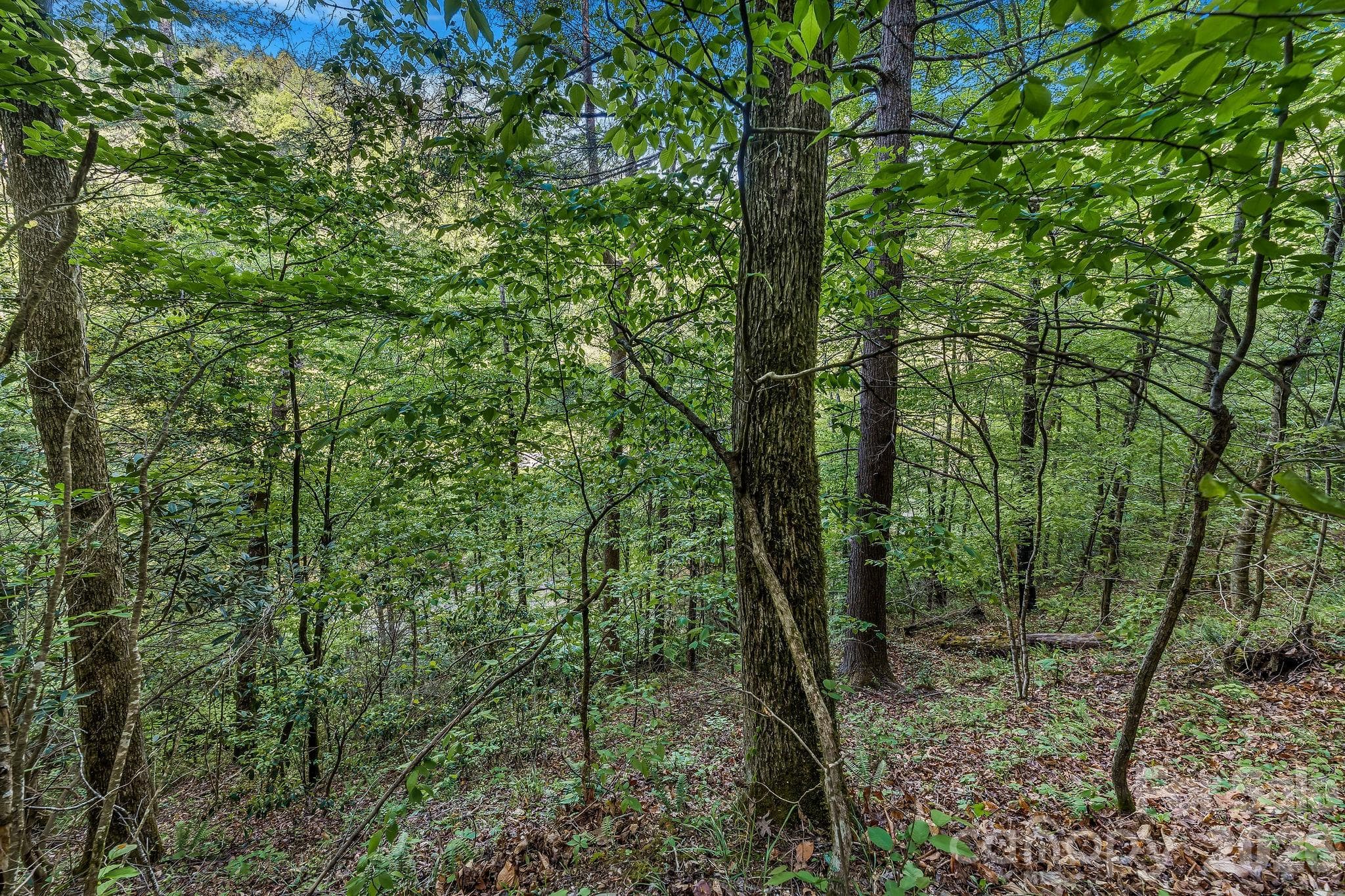 Acreage at 31 Caddis Court, Marshall, photo 6 of 38