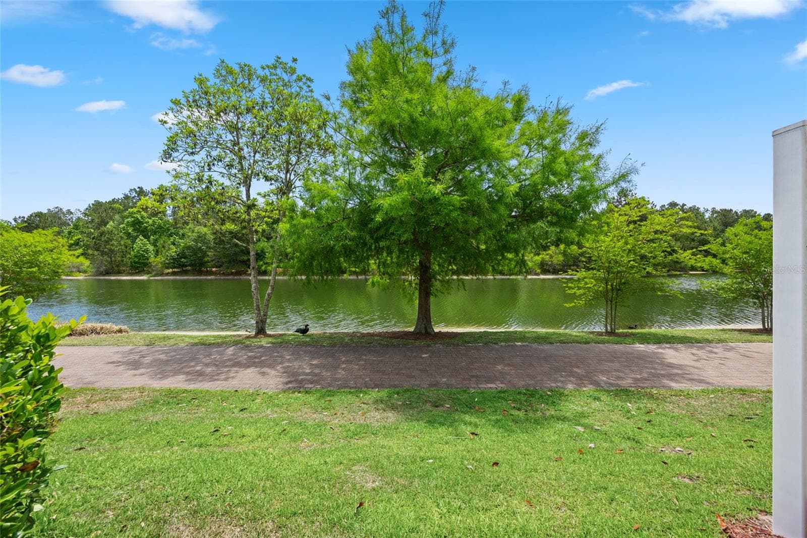 backyard view - 585 RUNNING WOODS ST, ORANGE PARK