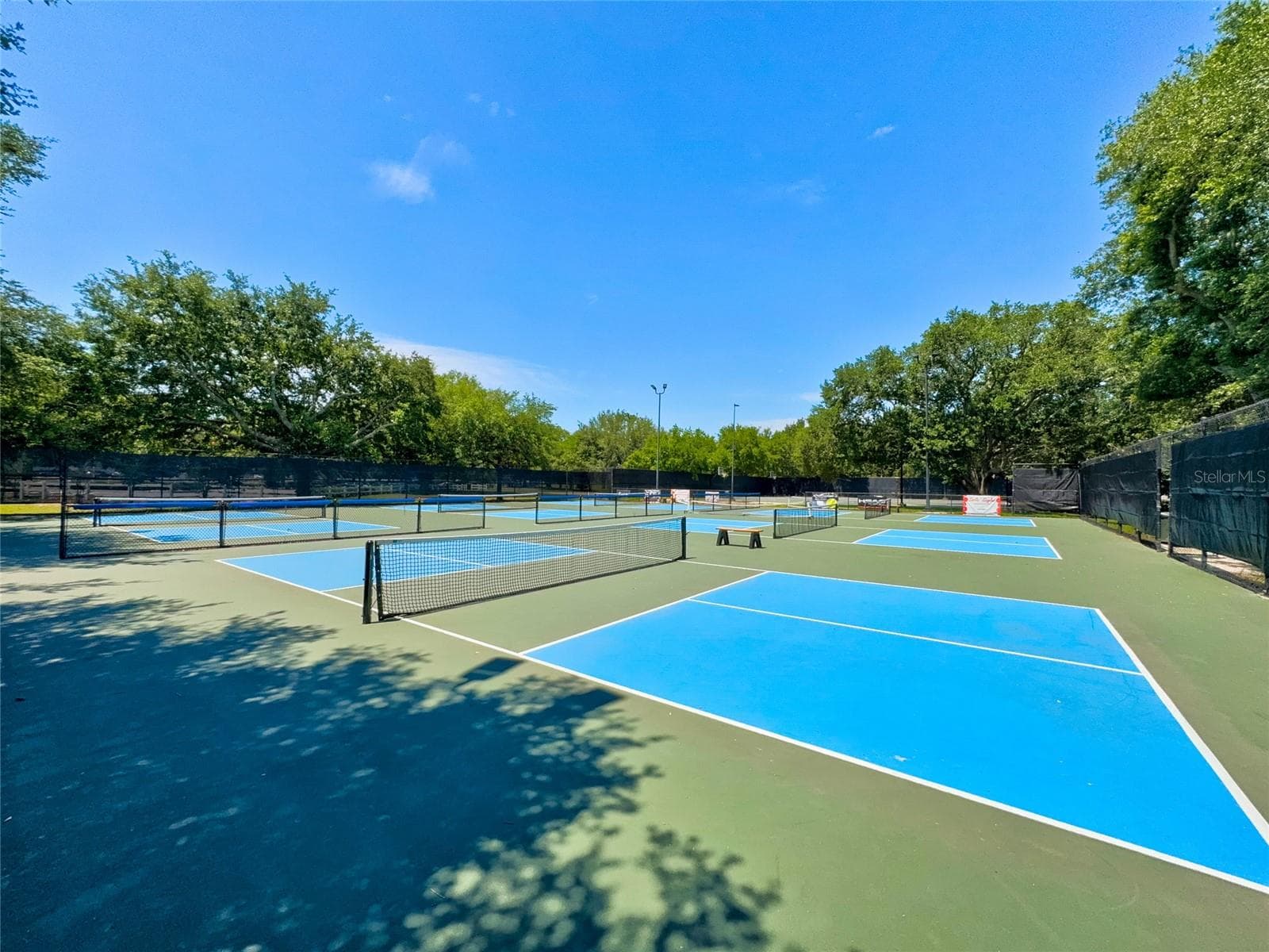 sports courts - 585 RUNNING WOODS ST, ORANGE PARK