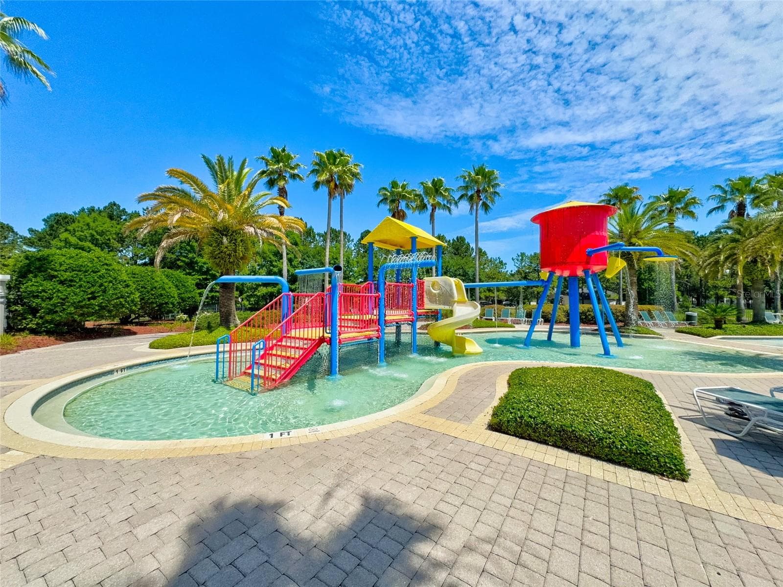 amenity center pool - 585 RUNNING WOODS ST, ORANGE PARK