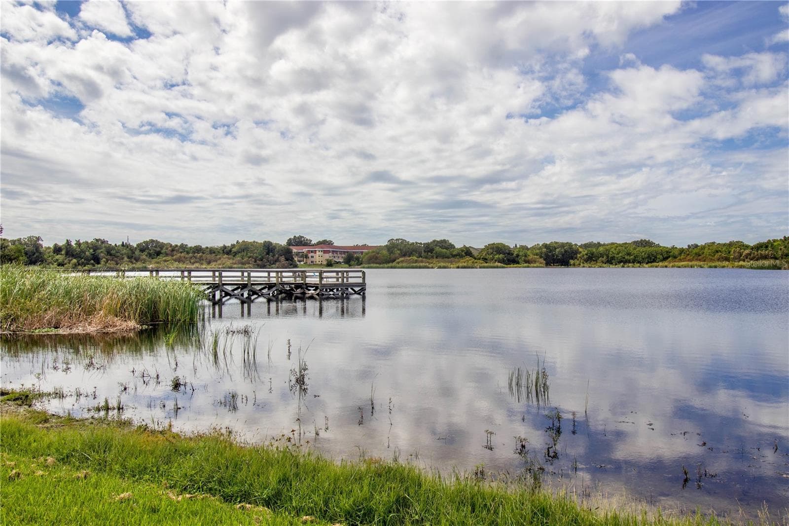 Condominium at 2428 COLUMBIA DR #36, CLEARWATER, photo 41 of 43