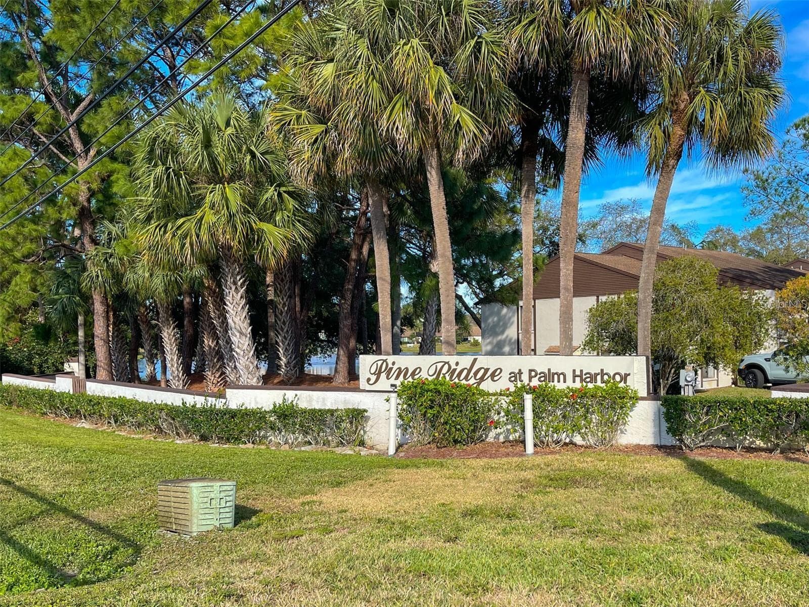 You'll love coming home here~ - 2642 PINE RIDGE WAY S #G2, PALM HARBOR