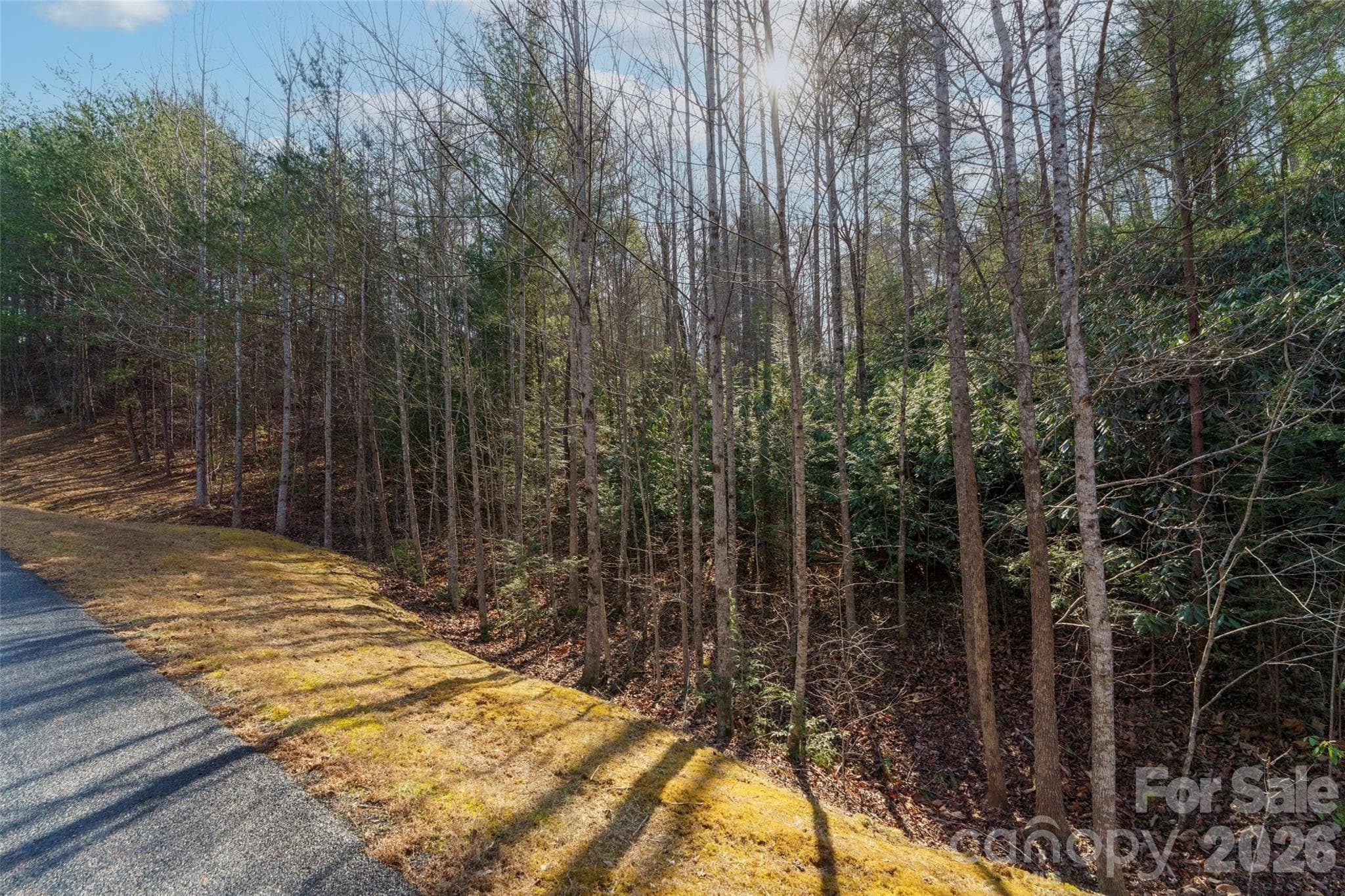 Lot at Nebo, photo 3 of 11