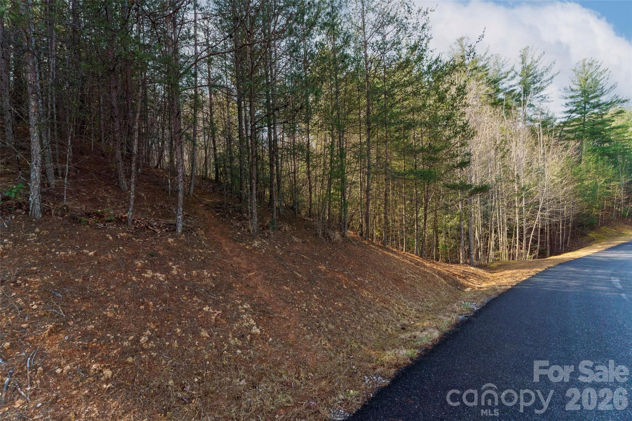 Lot at Nebo, photo 4 of 11