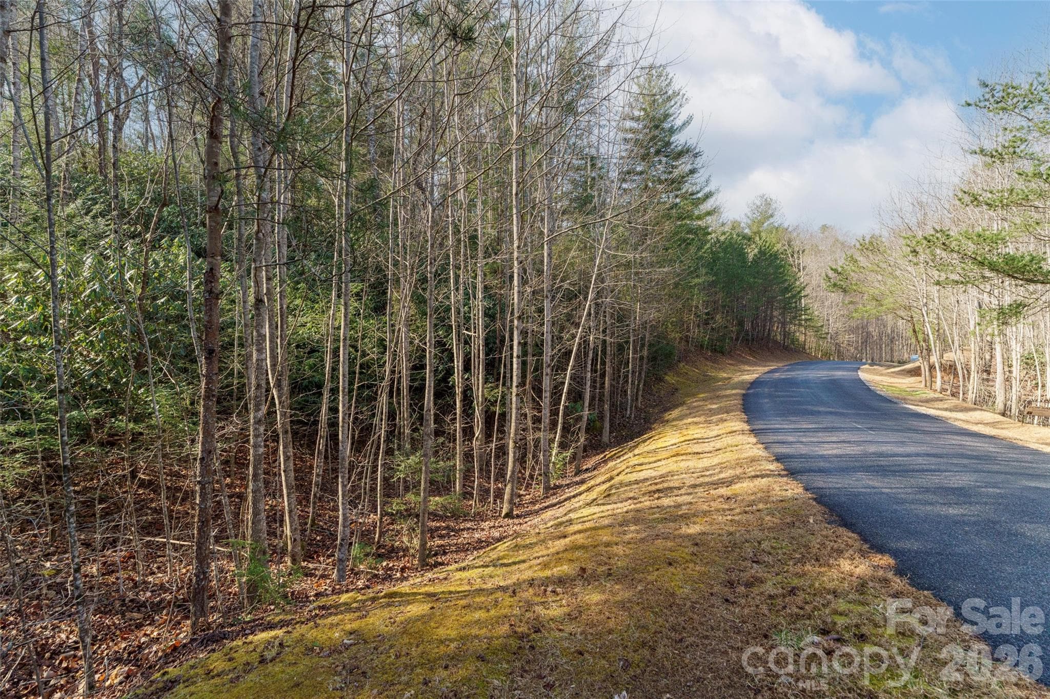 Lot at Nebo, photo 6 of 11