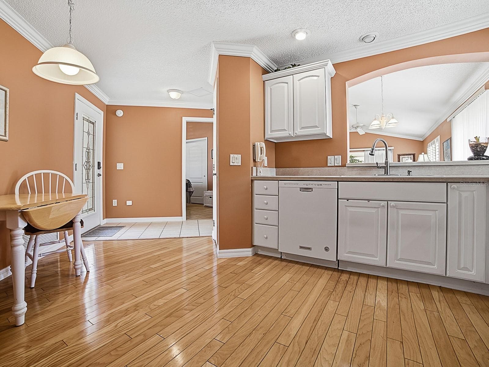 Clean White Cabinets - 7631 SE 170TH LONGVIEW LN, THE VILLAGES