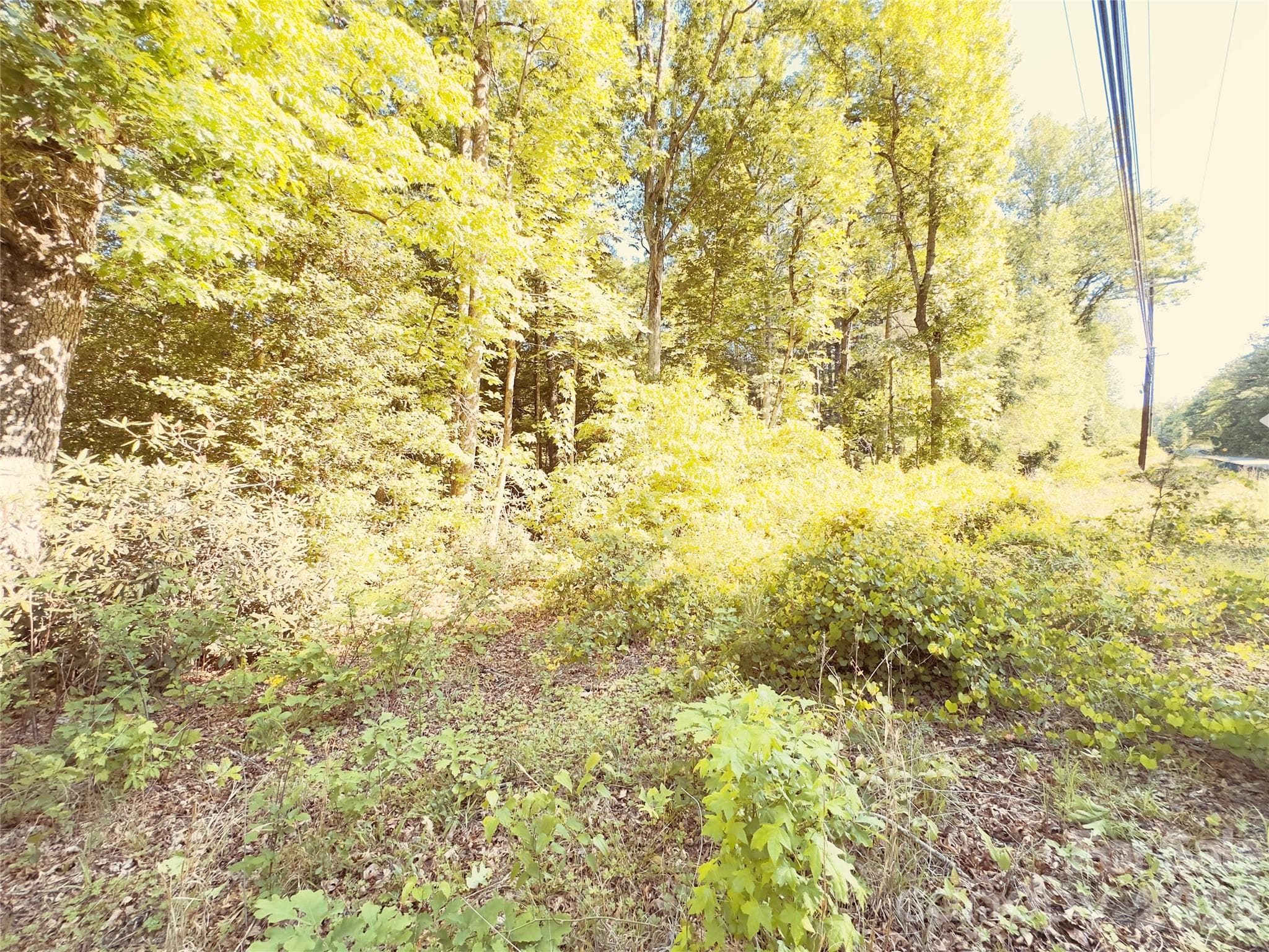 Acreage at Nebo, photo 2 of 2