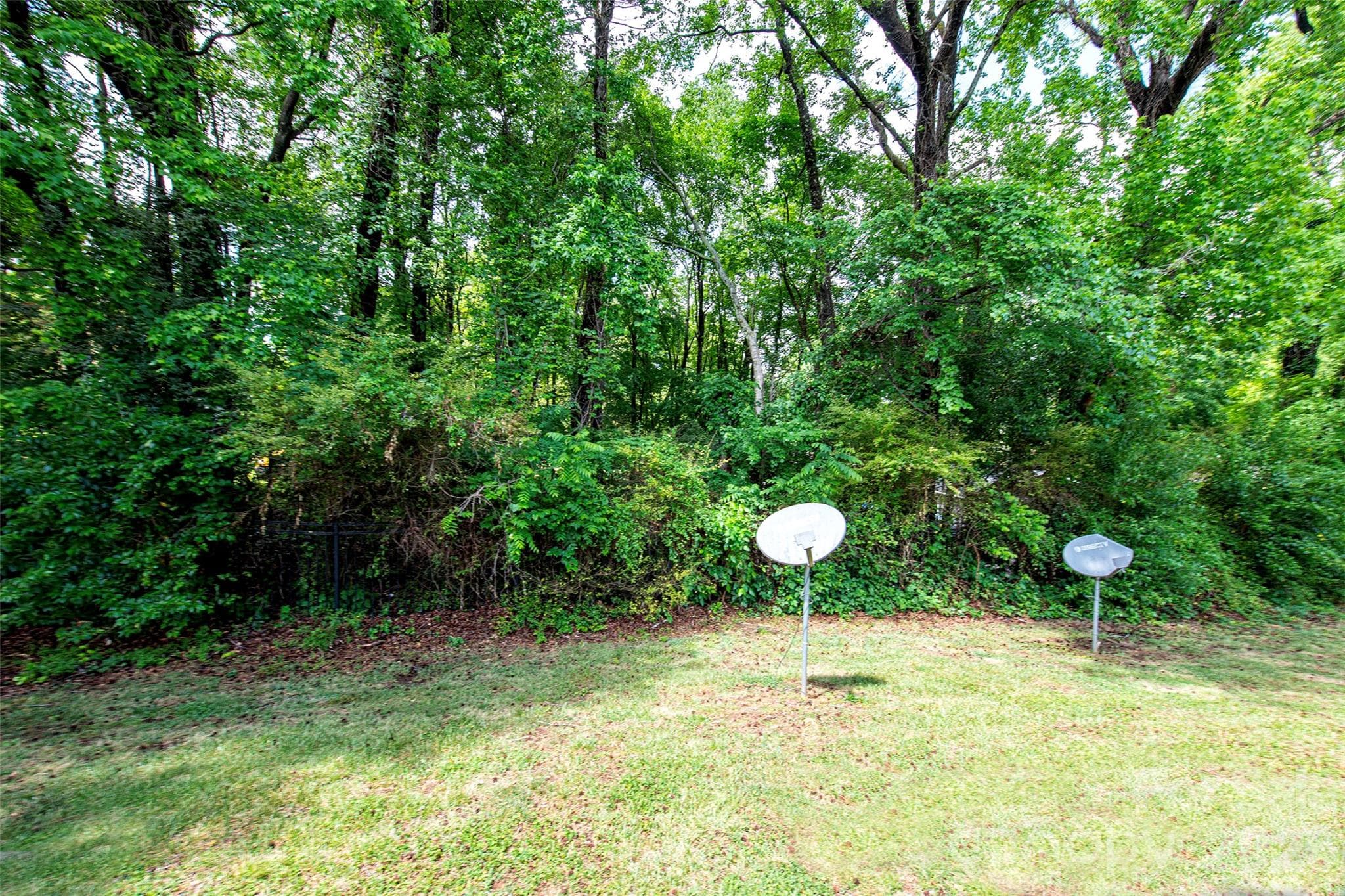 BACKYARD - Charlotte