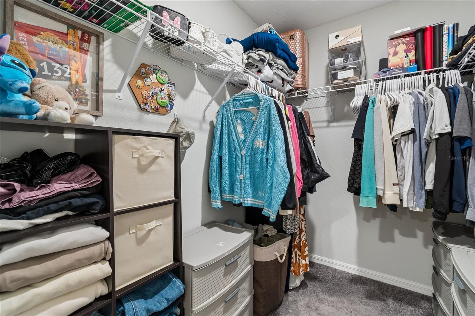 Primary Bedroom Walk-inCloset - 4733 DEER TRACK ST, TAMPA