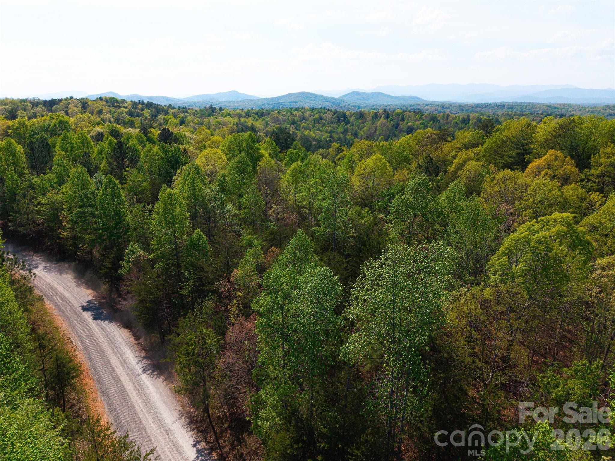 Lot at Nebo, photo 6 of 6