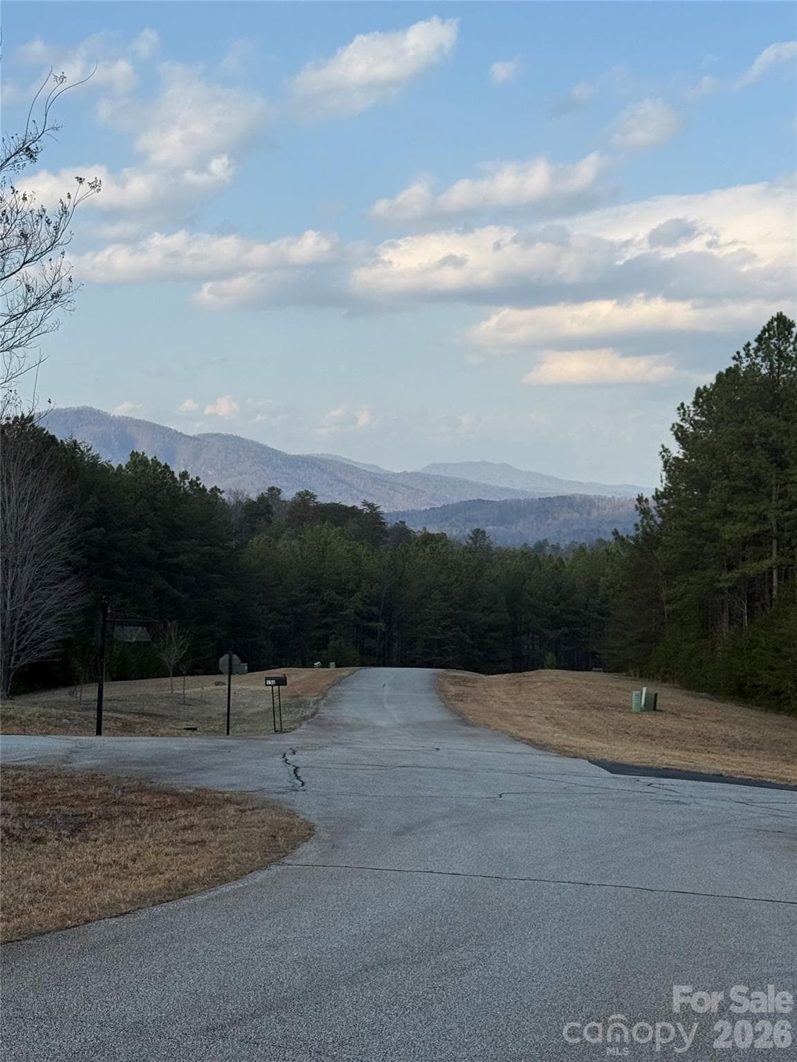 Lot at Mill Spring, photo 2 of 8