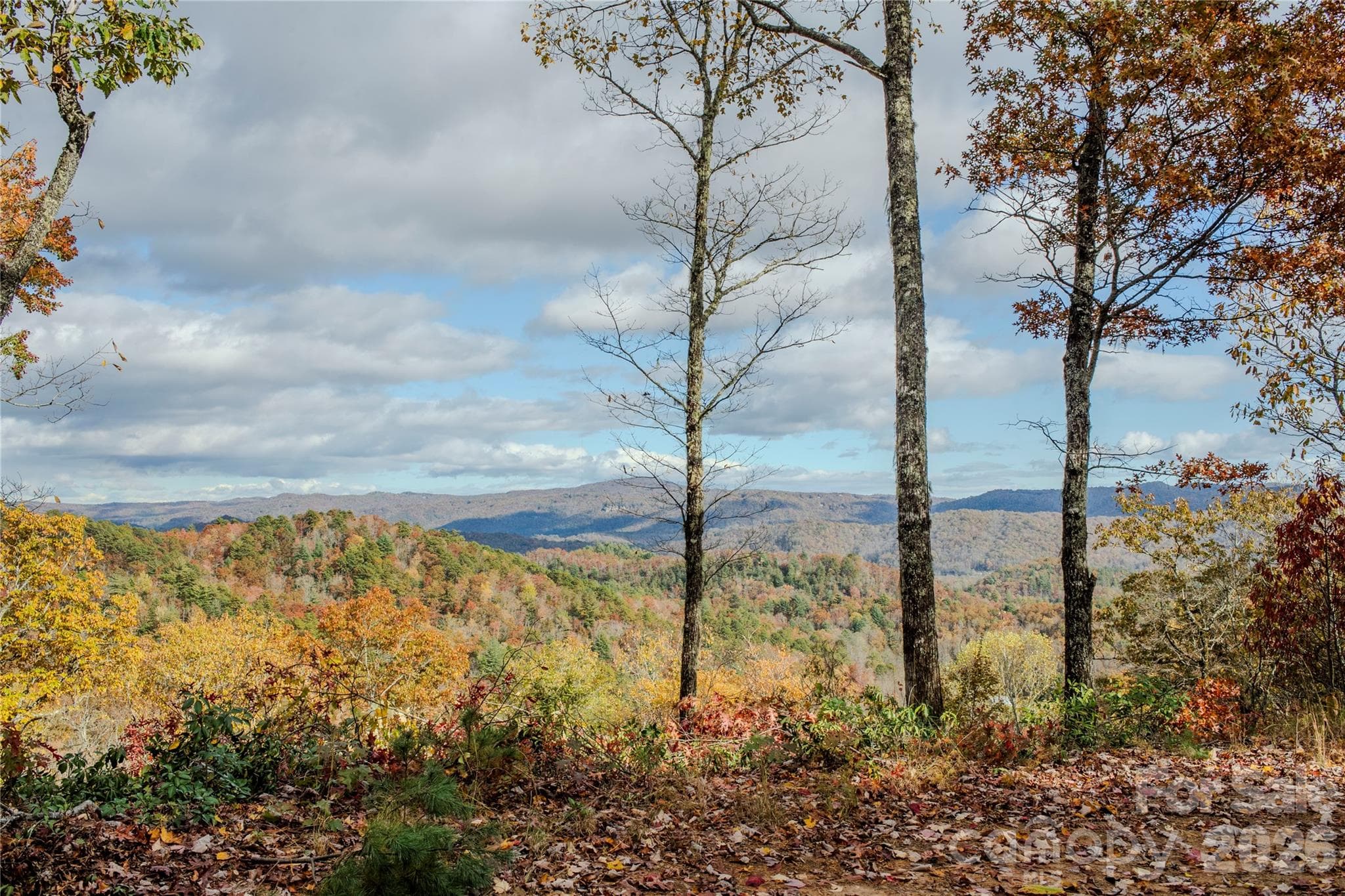 Acreage at Brevard, photo 2 of 54