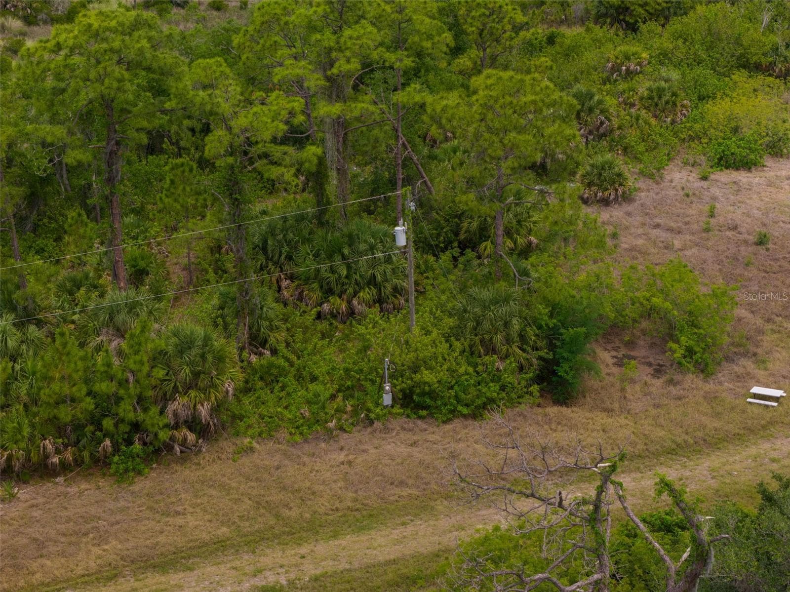 Land at FALCON CT, VENICE, photo 11 of 14