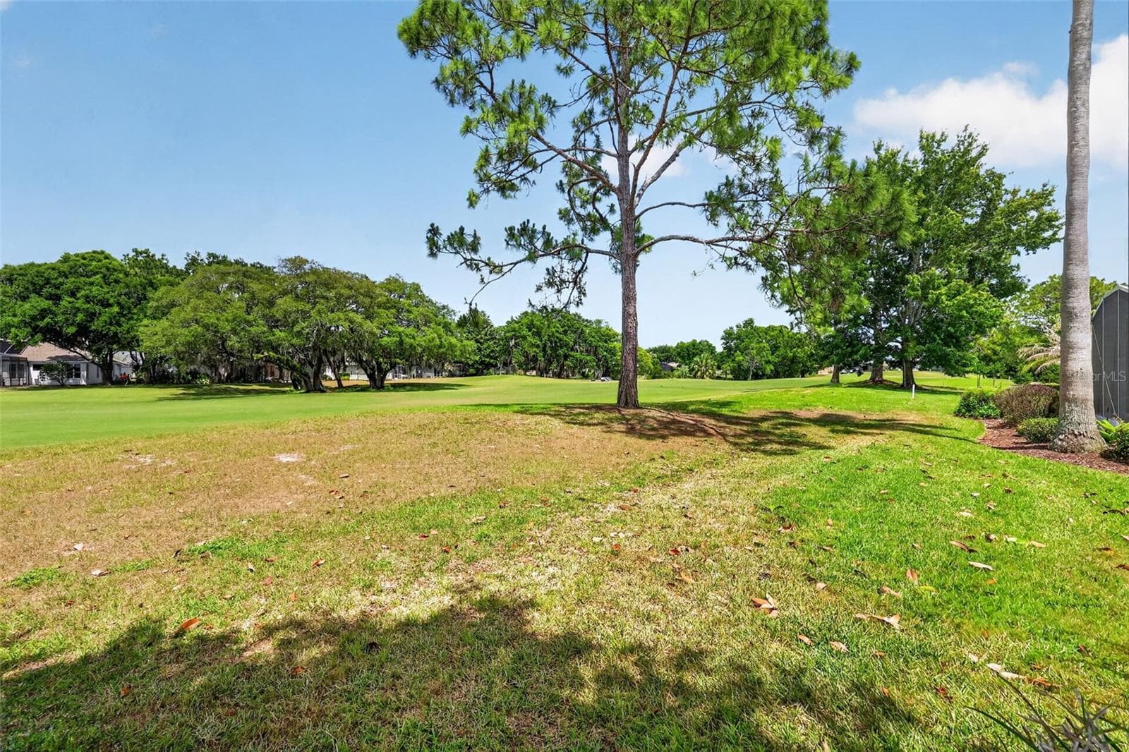 Single Family Residence at 8011 PINE HOLLOW DR, MOUNT DORA, photo 44 of 56