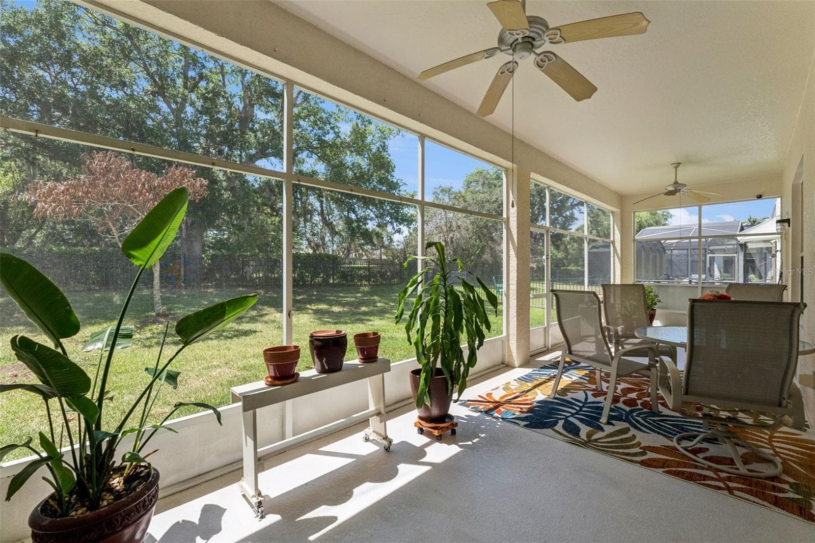 Lanai - 10125 SANDY MARSH LN, ORLANDO