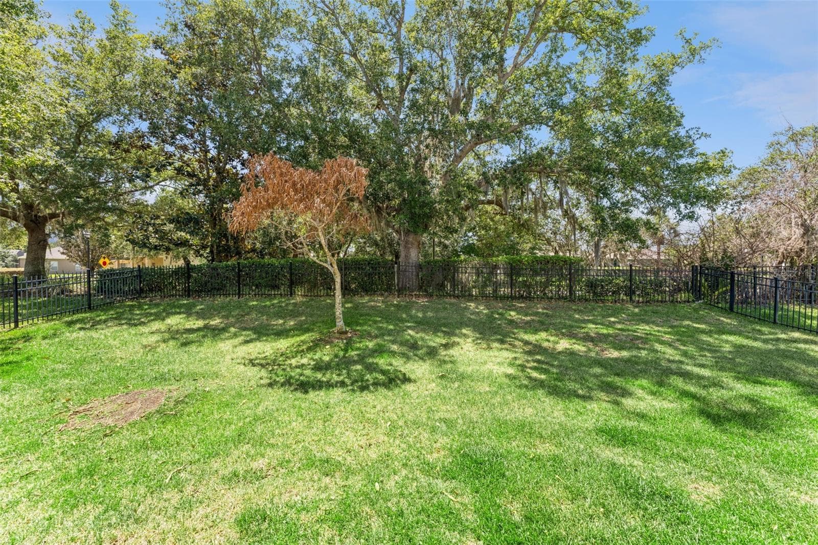 Back Yard - 10125 SANDY MARSH LN, ORLANDO