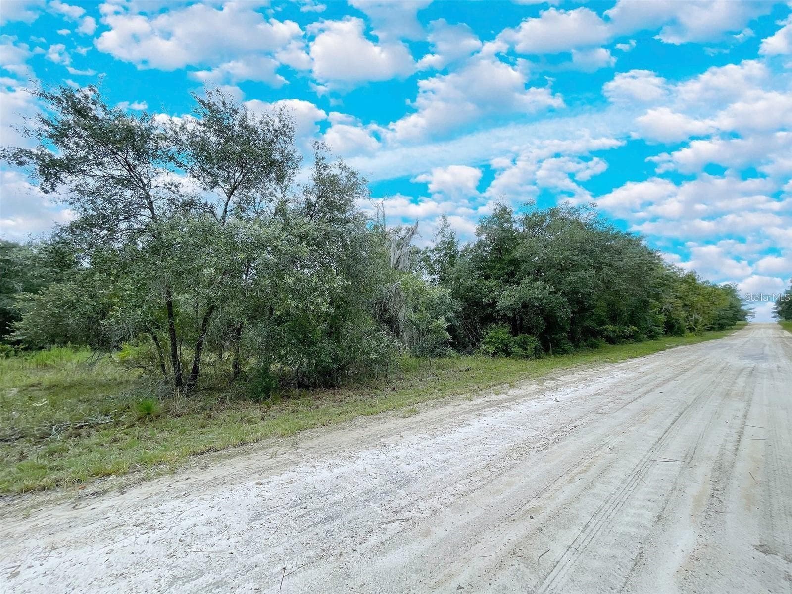 Land at 14250 SE 2ND ST, WILLISTON, photo 3 of 3