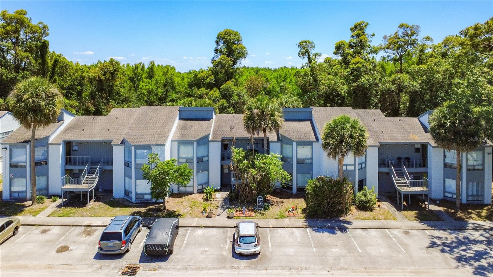 2636 LEMON TREE LN