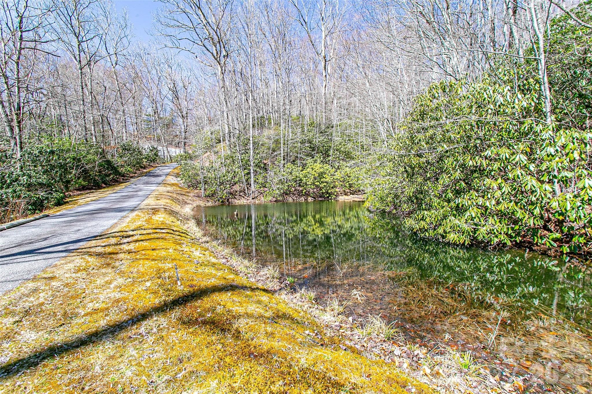 Lot at TBD Still Branch Road, Brevard, photo 3 of 26