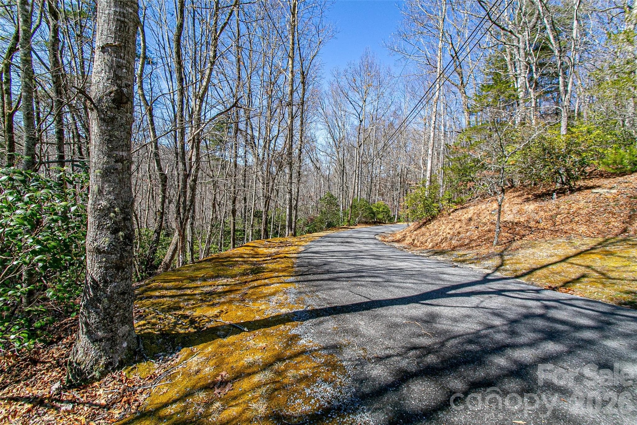 Lot at TBD Still Branch Road, Brevard, photo 11 of 26