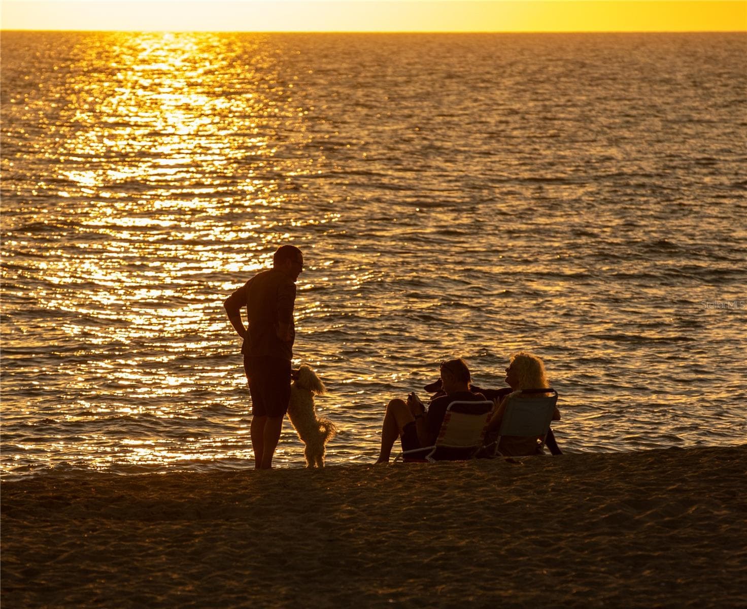 Dog beach at sunset - 316 ALBA ST E, VENICE