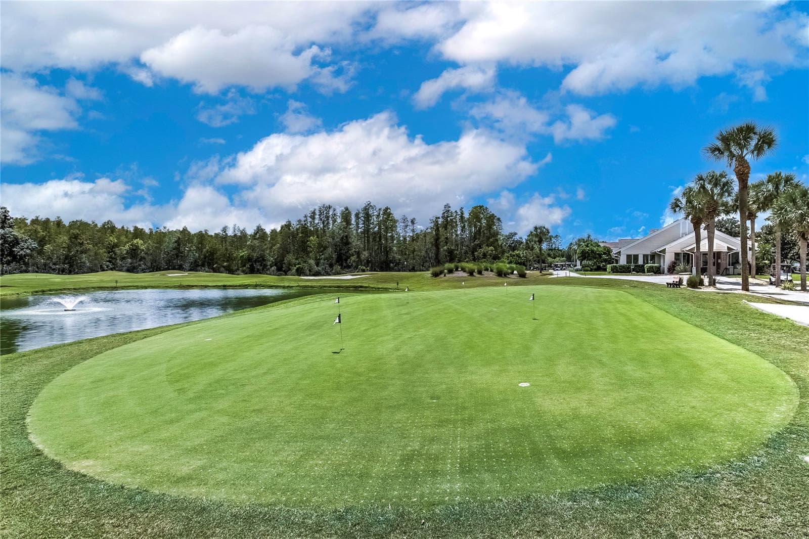 Single Family Residence at 7845 GENOA LN, LAND O LAKES, photo 36 of 36