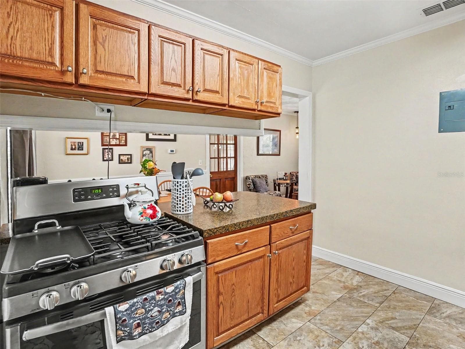 Single Family Residence at 315 W 11TH AVE, MOUNT DORA, photo 10 of 31