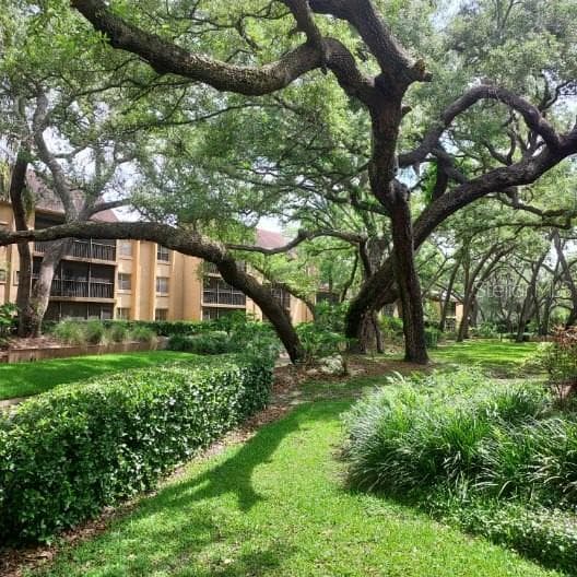 Condominium at 14111 MOSSY GLEN LN #101C, TAMPA, photo 2 of 8